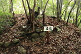 三河 広見城の写真