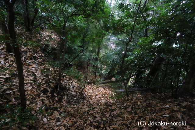 三河 本宮長山城の写真