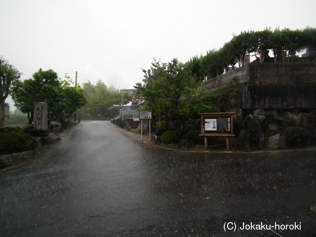 三河 本地城の写真