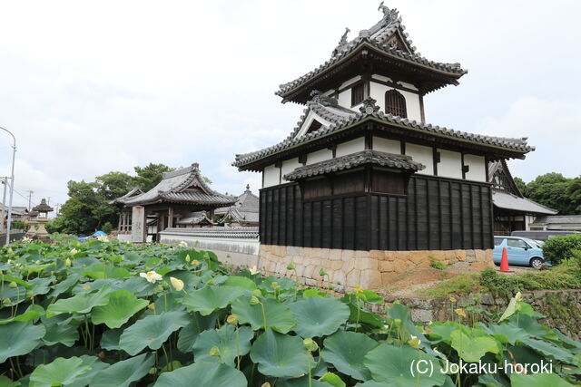 三河 本證寺の写真