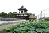 三河 本證寺の写真