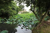 三河 本證寺の写真