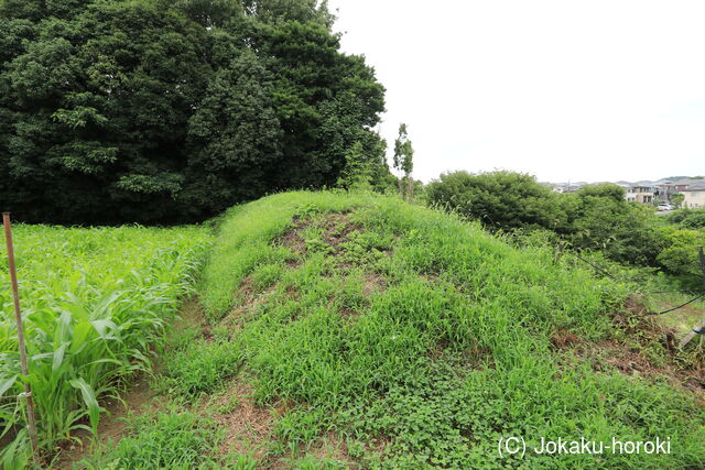 三河 細川城山城の写真