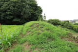 三河 細川城山城の写真