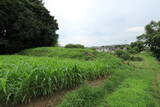 三河 細川城山城の写真