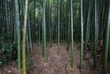 三河 一宮砦の写真