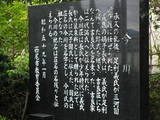 三河 今川城の写真