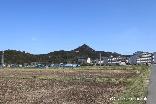 三河 石巻山城の写真