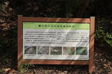 三河 石巻山城の写真