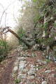 三河 石巻山城の写真
