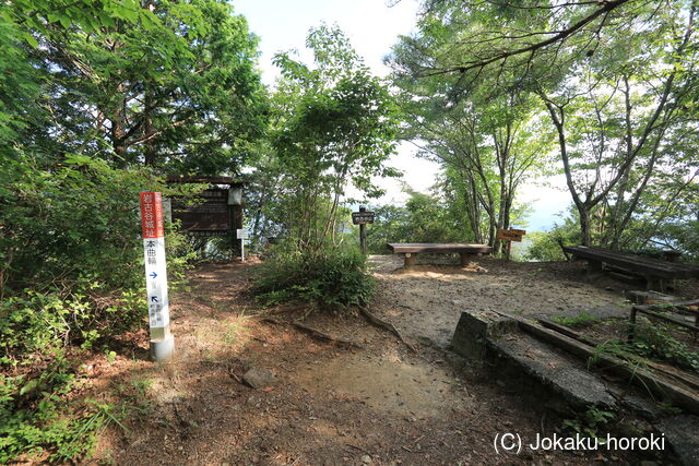 三河 岩古谷城の写真