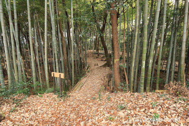 三河 岩津城の写真