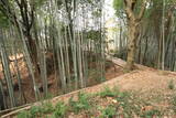 三河 岩津城の写真
