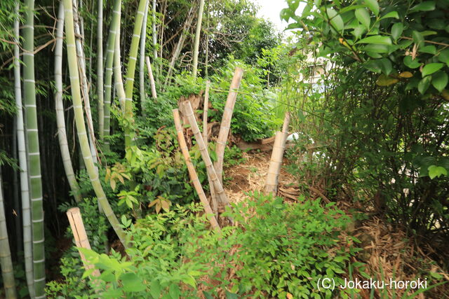 三河 岩津新城の写真