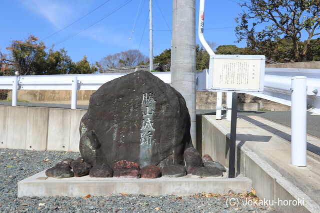 三河 勝山城(豊川市)の写真