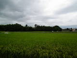 三河 柿碕村古屋敷の写真