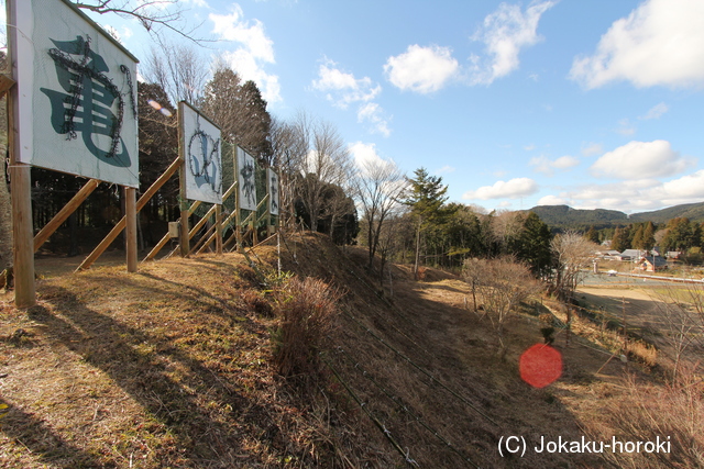 三河 亀山城の写真