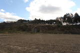 三河 亀山城の写真