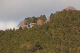 三河 亀山城の写真