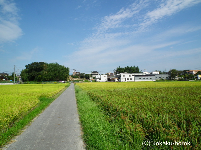 三河 刈谷古城の写真