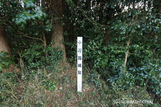 三河 川路市場城の写真