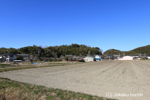 三河 岡山城の写真