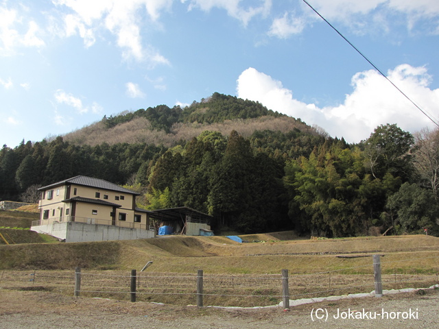 三河 霧山白山城の写真