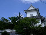 三河 挙母城の写真