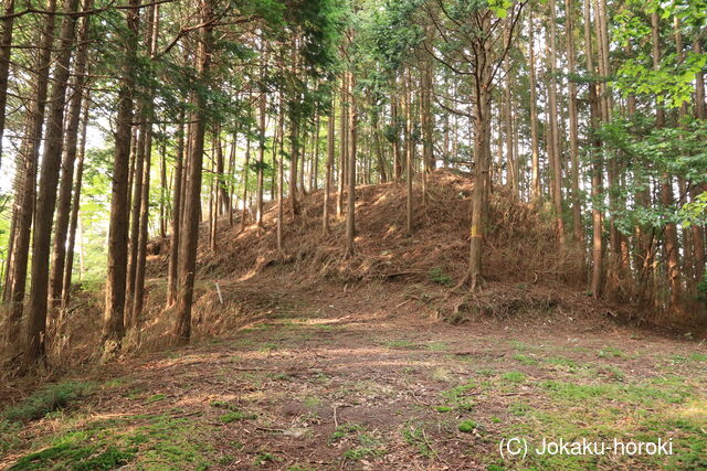 三河 二の宮砦の写真