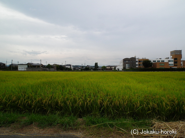 三河 国江城の写真