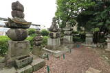 三河 桑子城の写真