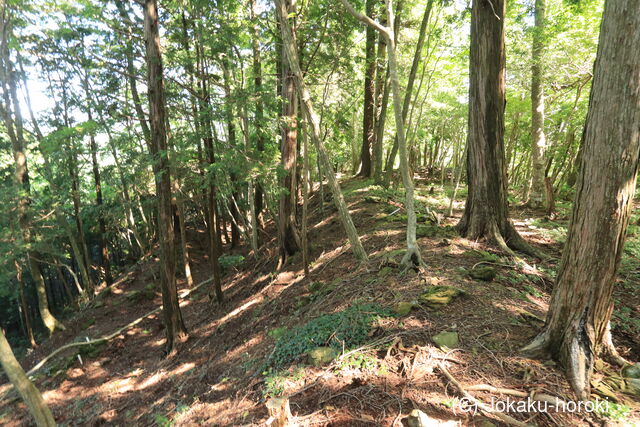 三河 鍬塚城の写真