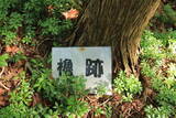 三河 鍬塚城の写真