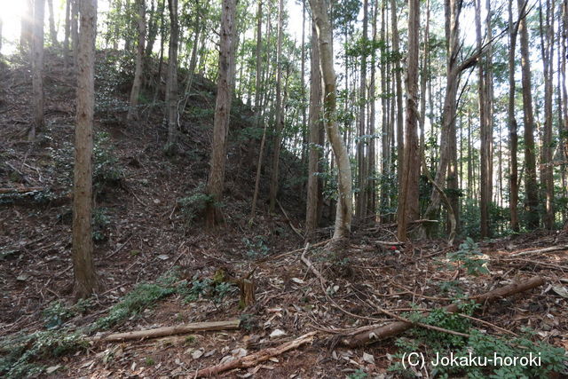 三河 孫根城の写真