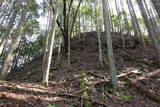 三河 孫根城の写真
