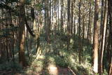 三河 孫根城の写真
