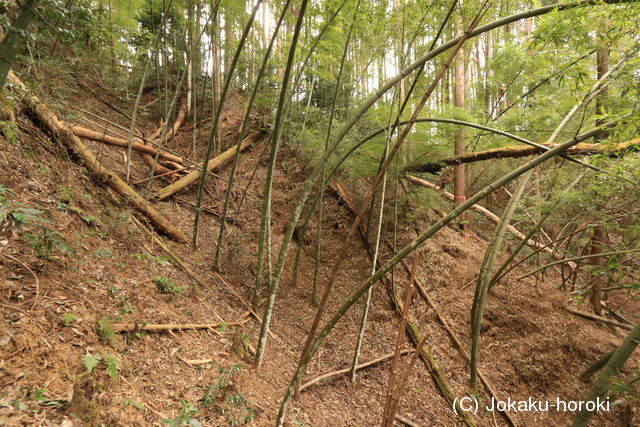 三河 槙本城の写真