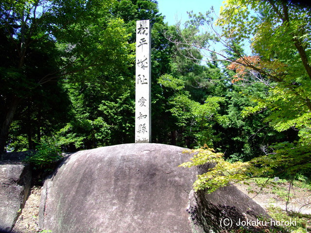 三河 松平城の写真