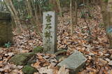 三河 宮石城の写真