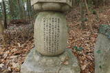 三河 宮石城の写真