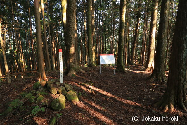 三河 長江城の写真