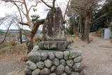 三河 大通寺山陣所の写真