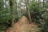 三河 大通寺山陣所の写真