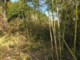 三河 成瀬城の写真
