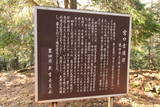 三河 仁木城の写真