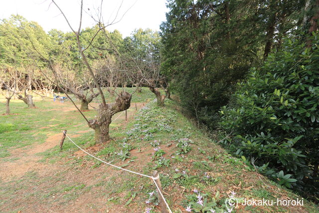 三河 西川城の写真