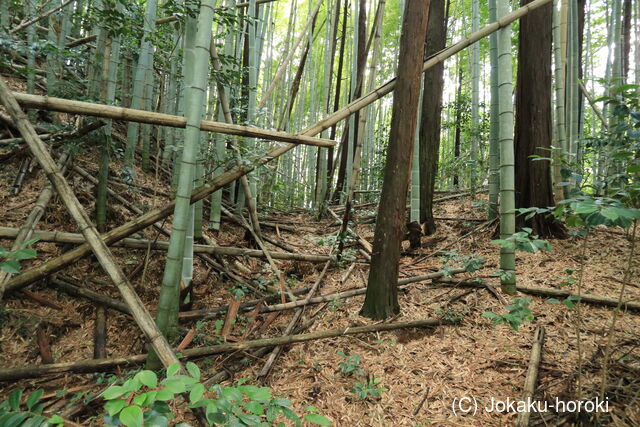 三河 西広瀬城の写真
