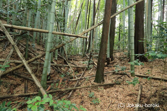 三河 西広瀬城の写真