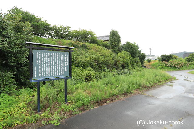 三河 野場西城の写真