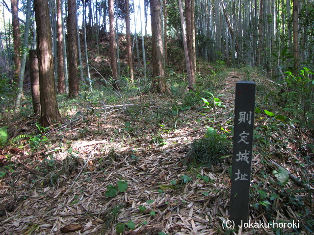 三河 則定城の写真